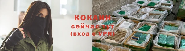 ECSTASY Заволжье