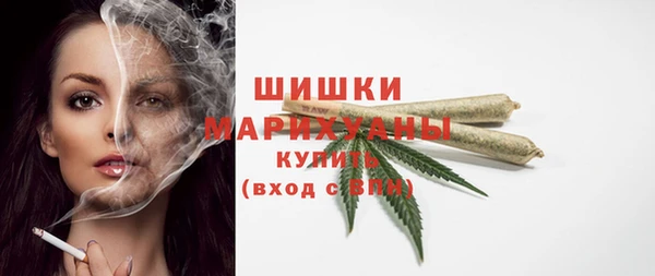 мдпв Богородск