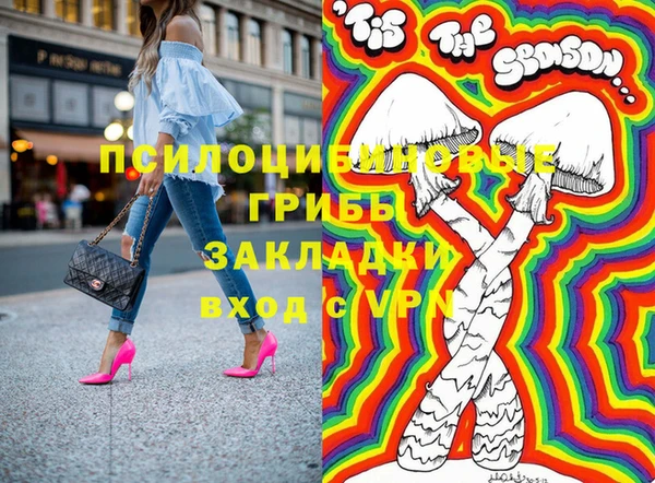 мдпв Богородск