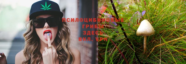 каннабис Богородицк