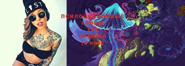 первитин Белокуриха